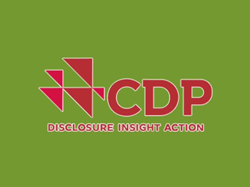 CDP（碳信息披露项目）