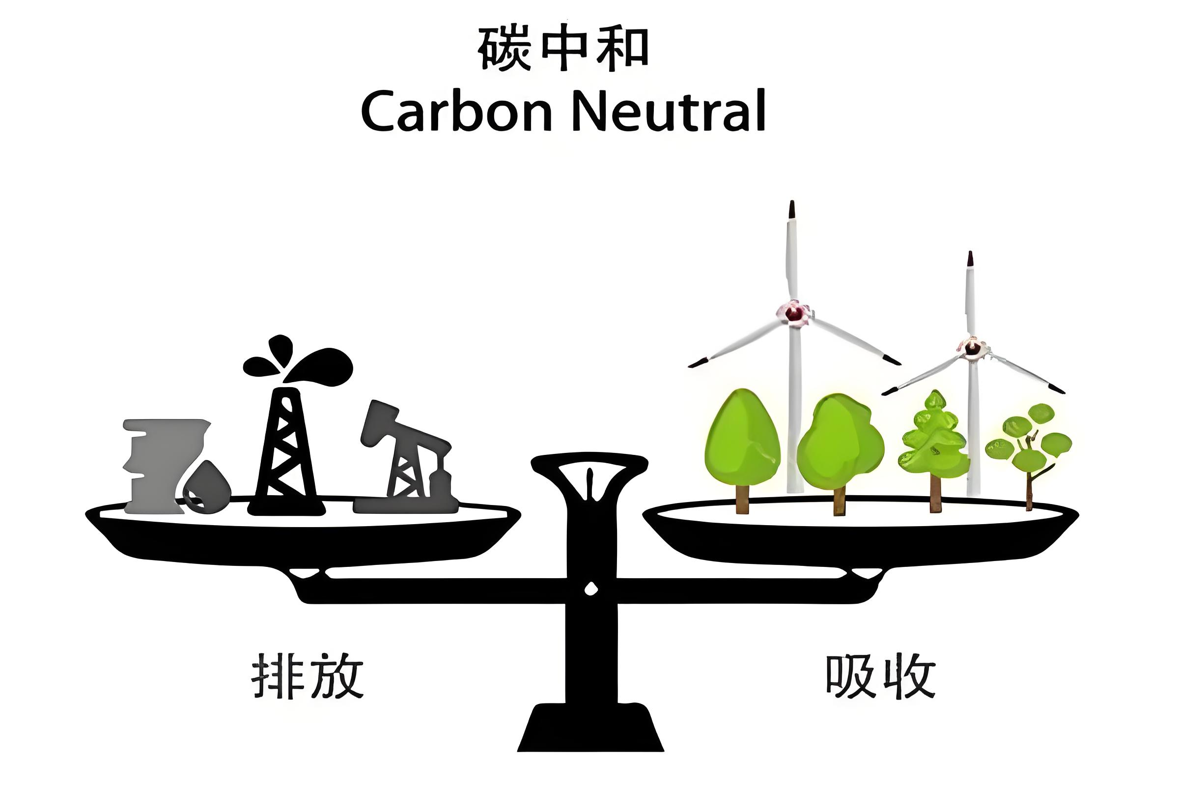 25172_6nzm_8363.png