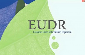 欧盟EUDR认证全面解读：2025年最新指南与合规策略